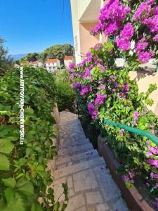 Apartmani Miro, Duće foto 5