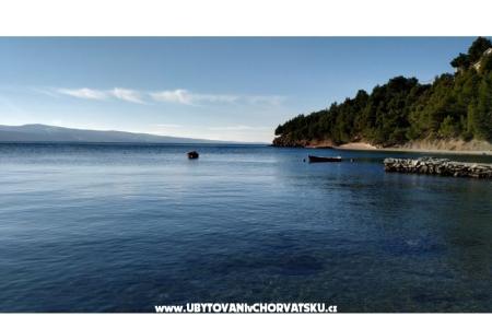 Apartmani Ruža foto 3