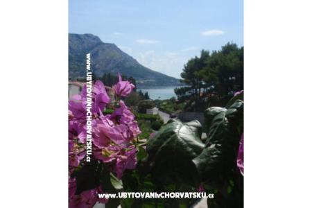 Apartmani Vinka Saric foto 2