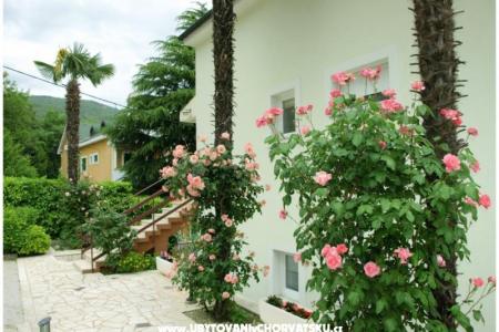 Apartman Meri foto 5