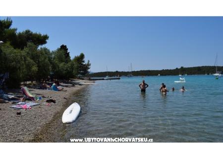 Apartmani Radojković foto 4
