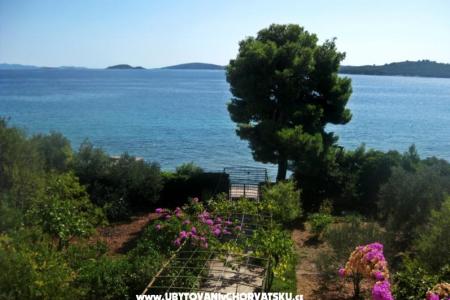 Apartmani Šurjak foto 3
