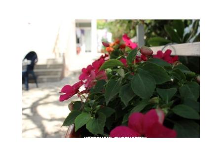 Apartmani Tanja foto 3