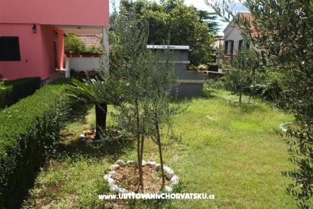Apartman Nike foto 4