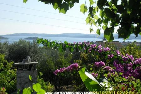 Villa Lea foto 2