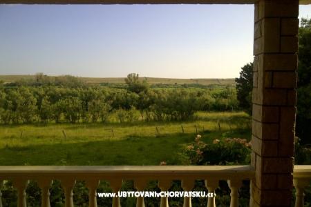 Apartmani Ćurić Povljana foto 3