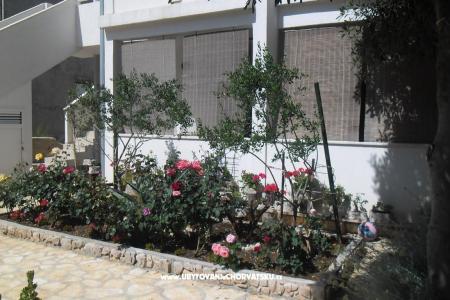 Apartmani Marija foto 4