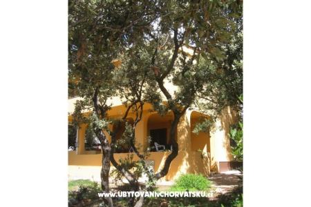 Apartmani Marijana Mandre foto 3