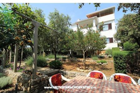 Apartmani Salvia island Pag Mandre foto 2