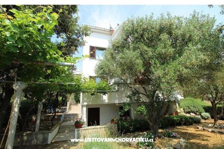 Apartmani Salvia island Pag Mandre foto 4