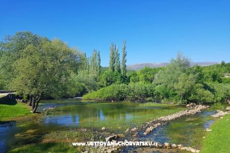 Apartmani Tomic foto 3