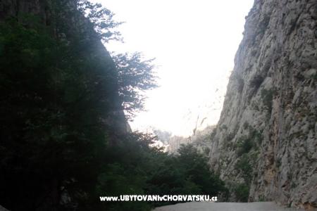 Apartmani vesela foto 5