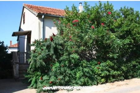 Apartman Marko foto 4