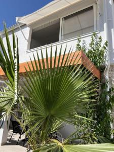 Apartmani Ksenija foto 3