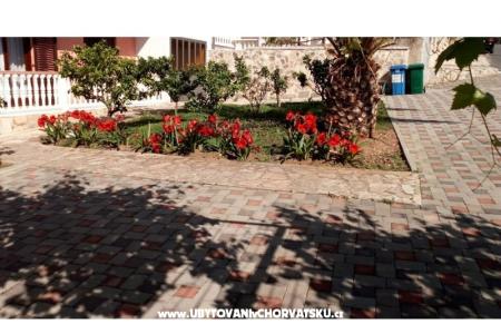 Apartmani Leo foto 4
