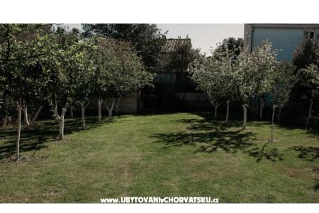 Apartmani Ivišić foto 5