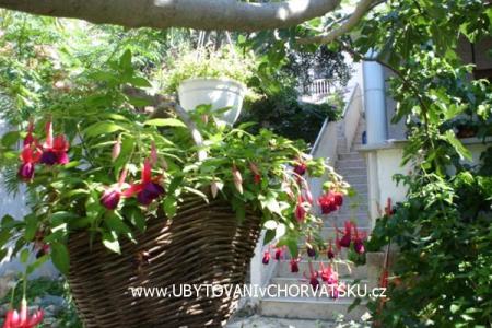 Apartmani Sokalo-Petar foto 4