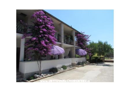 Apartmani Pipi foto 3
