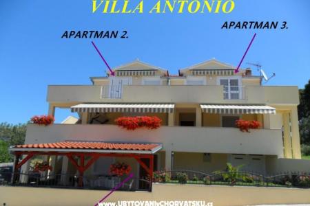 Apartmani Antonio foto 3