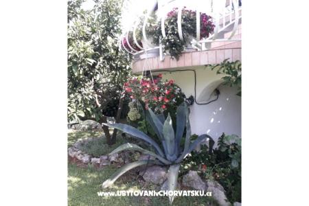 Apartmani Lokva foto 4