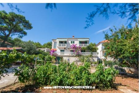 Apartmani Dragica Pedisic foto 3