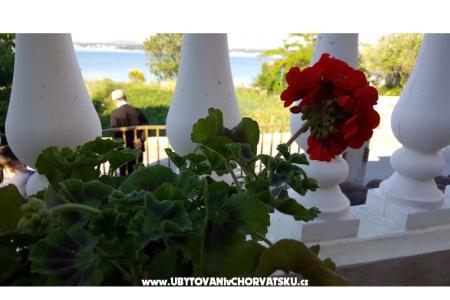 Apartmani Nena foto 2