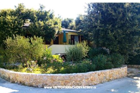 Apartmani Dani Petrčane Hrvatska