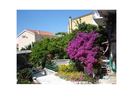 Apartmani - Minka i Vite Podgora Hrvatska
