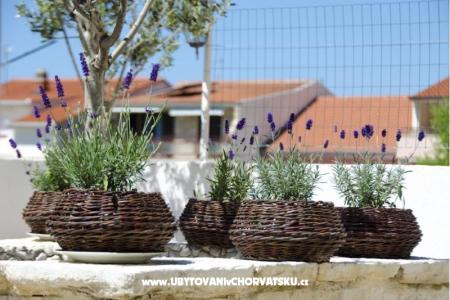 Apartmani Vodanović foto 4