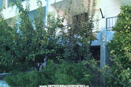 Apartmani Brusje foto 3