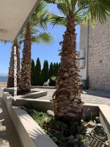 Apartmani Botuš foto 3
