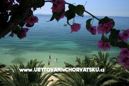 Apartmani Palme foto 3