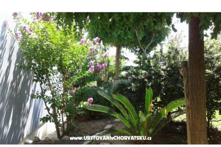 Villa Gina foto 5