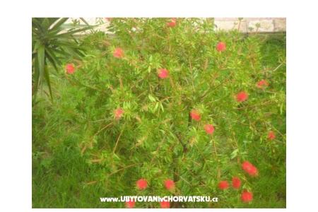 Apartmani Baki foto 2