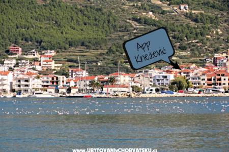 Apartmani Knežević Podstrana foto 2
