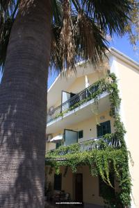 Apartmani Nera foto 5