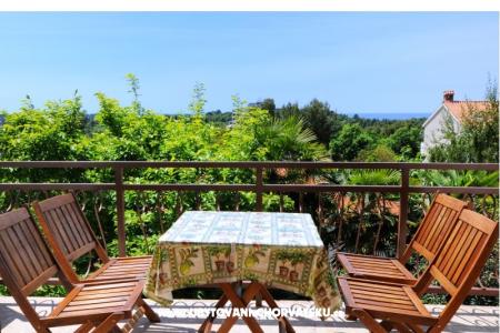 Apartman Dragica foto 4