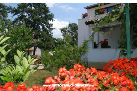 Apartmani Bauk foto 3