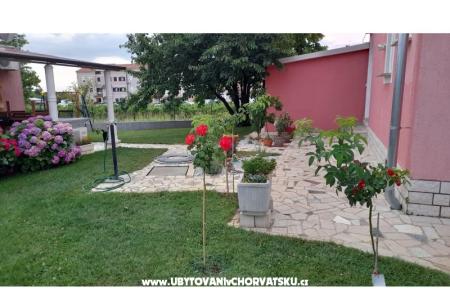 Apartmani Dragica! foto 4