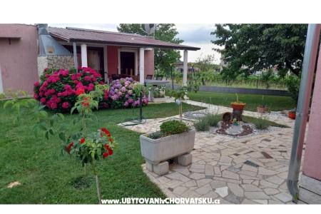 Apartmani Dragica! foto 5