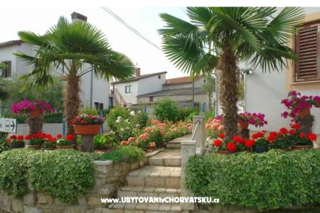 Apartmani Milokanović foto 4