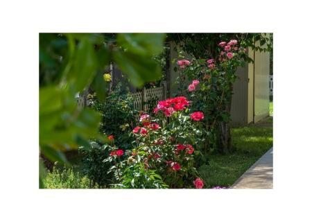 Apartmani Stanic foto 5