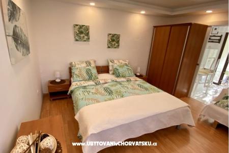 Apartmani Aleks-Ana foto 5