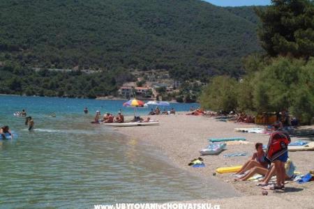 Apartmani Cvetko foto 4