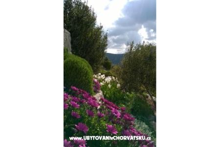 Apartmani   Luka foto 5