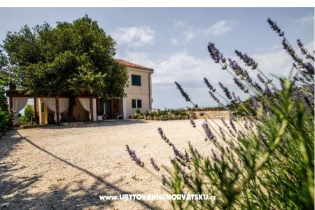 Apartmani Andreja Primošten Hrvatska