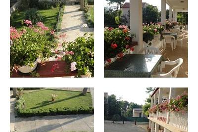Apartmani Ankica foto 5