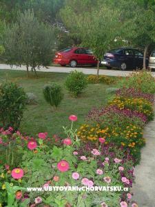Apartmani Mare & Berto foto 2