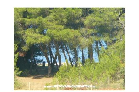 Apartmani Dora foto 4