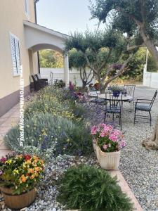 Apartmani Jurac foto 3